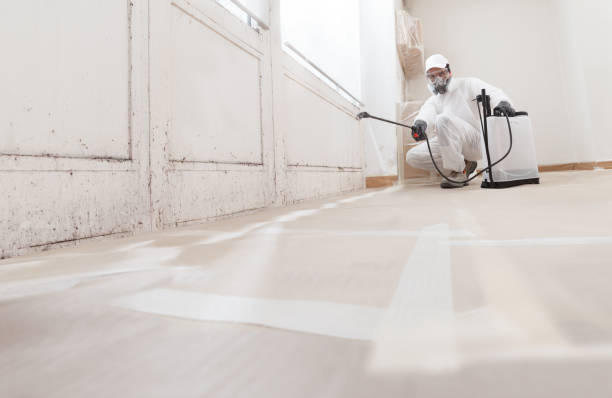 24/7 Emergency Attic Mold Remediation experts in Jefferson, MD